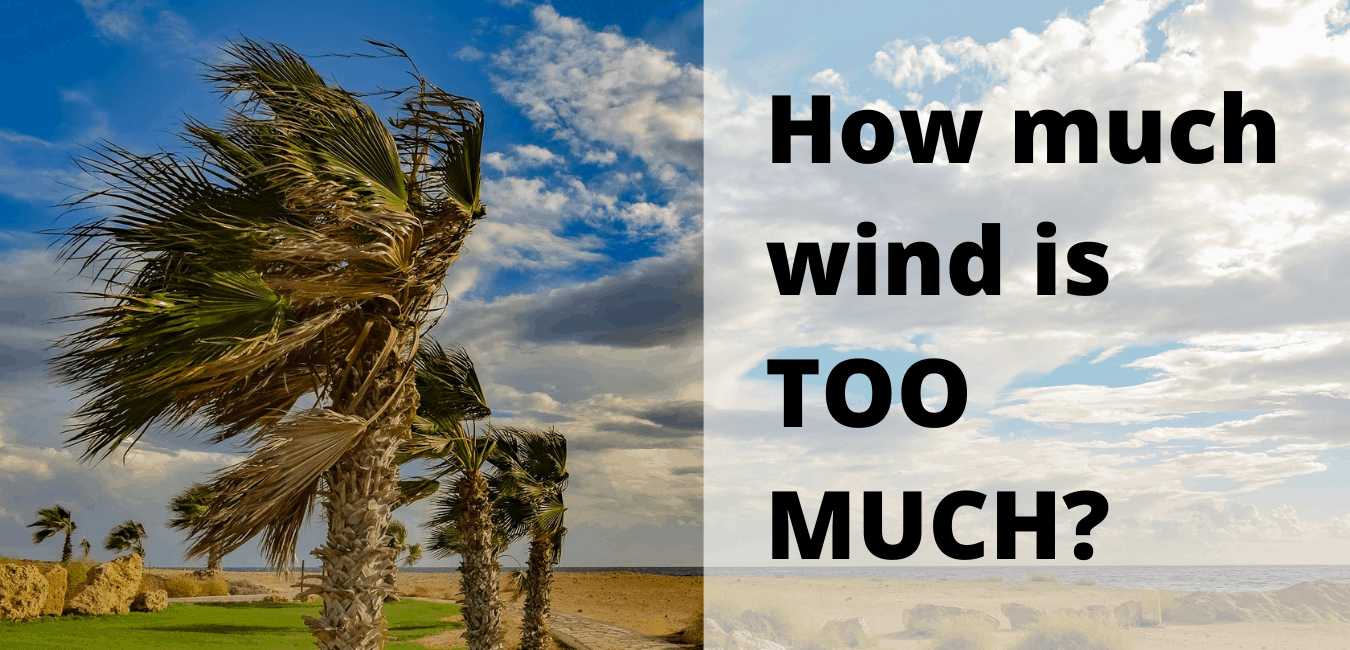 how much wind can a drone take